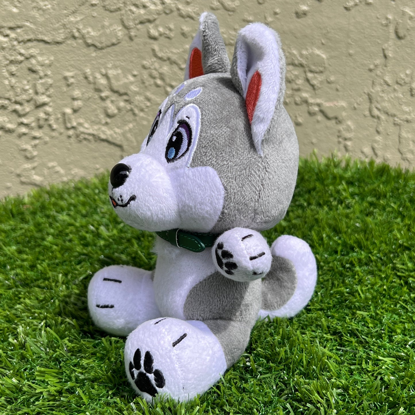 Alaska Husky