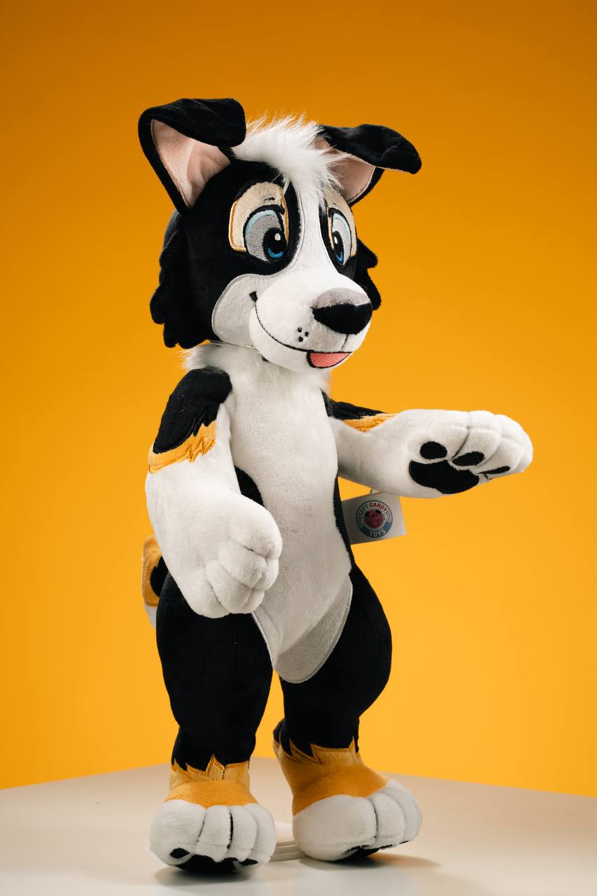 Benji Collie