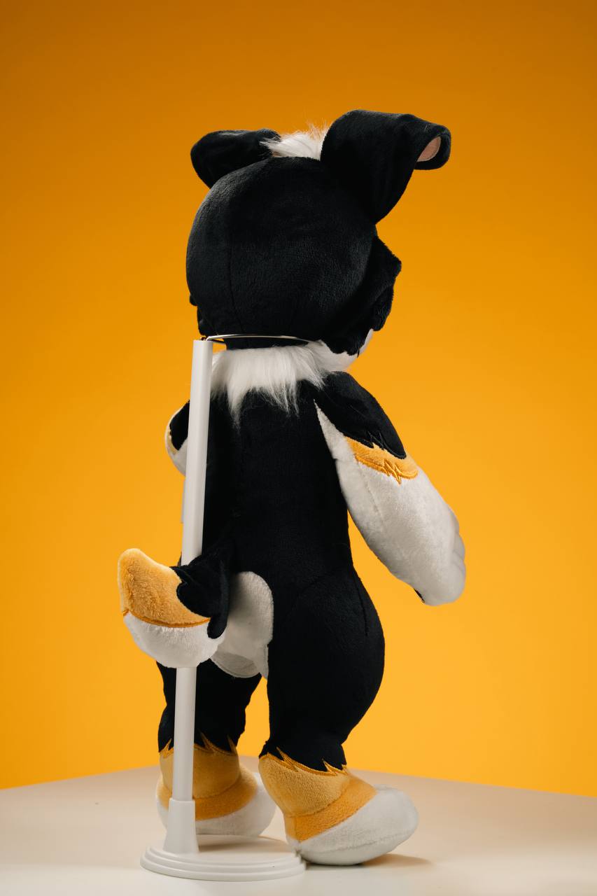 Benji Collie