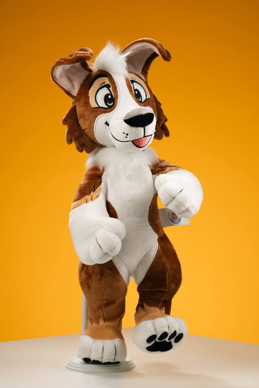 Charlie Collie