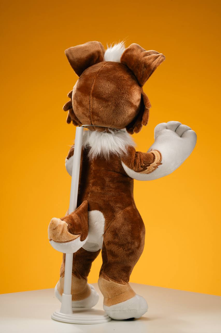 Charlie Collie