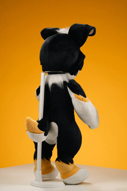 Benji Collie